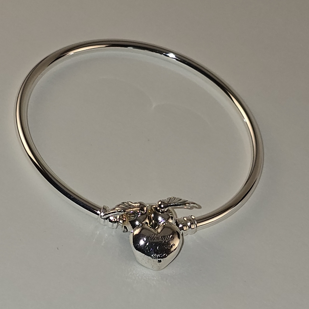 New-Never Worn, In Box- Always By Your Side Pandora Bangle Bracelet